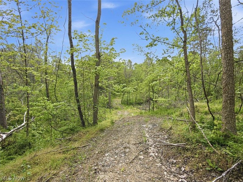69 acres Newlon Road, Malta, OH 43758 Photo 14