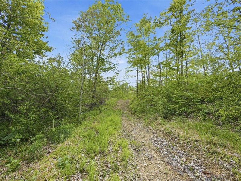 69 acres Newlon Road, Malta, OH 43758 Photo 15
