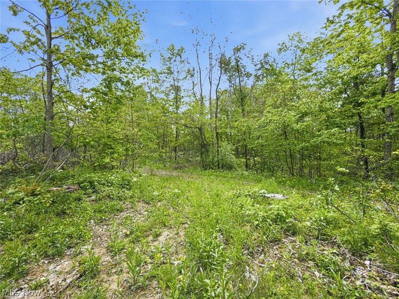 69 acres Newlon Road, Malta, OH 43758 Photo 16