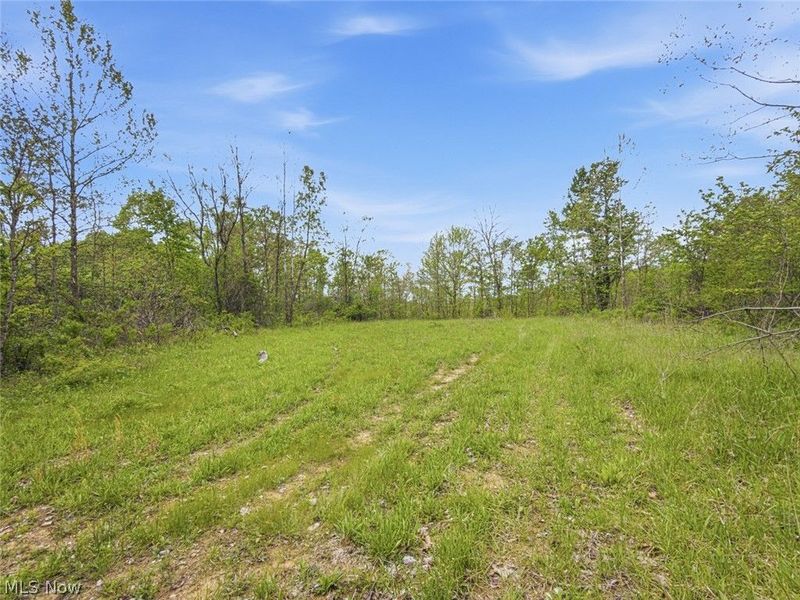 69 acres Newlon Road, Malta, OH 43758 Photo 17