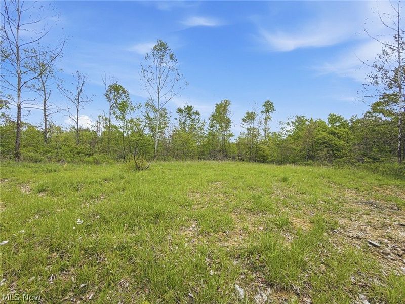 69 acres Newlon Road, Malta, OH 43758 Photo 18