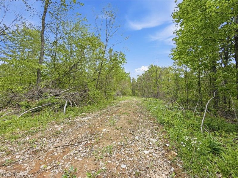69 acres Newlon Road, Malta, OH 43758 Photo 19