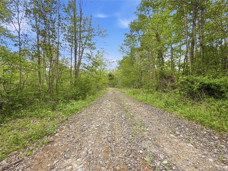 69 acres Newlon Road, Malta, OH 43758 Photo 20