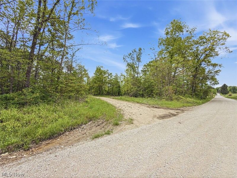 69 acres Newlon Road, Malta, OH 43758 Photo 3
