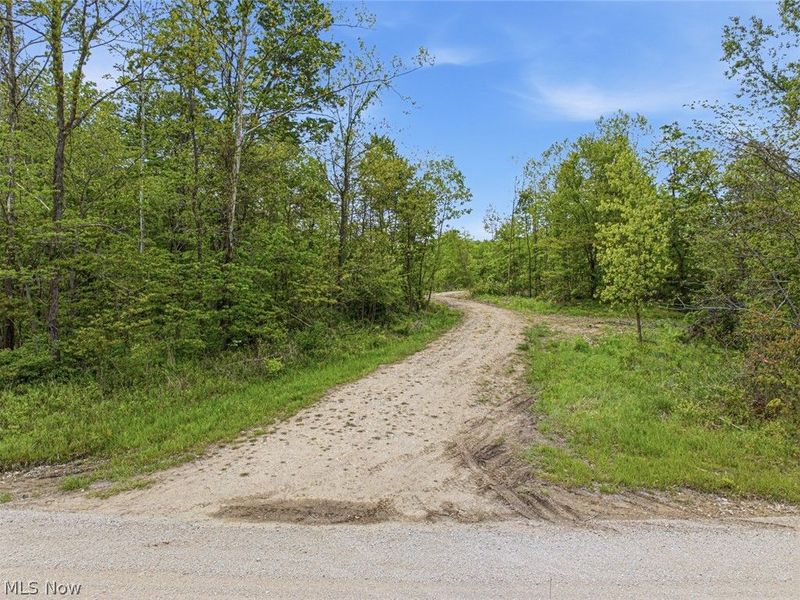 69 acres Newlon Road, Malta, OH 43758 Photo 4
