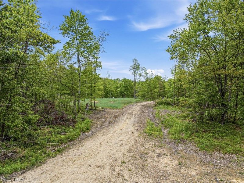 69 acres Newlon Road, Malta, OH 43758 Photo 5
