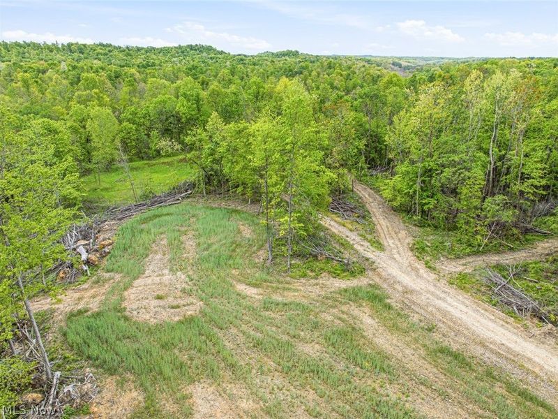 69 acres Newlon Road, Malta, OH 43758 Photo 6