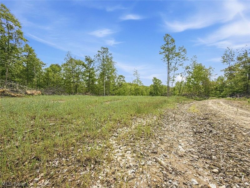 69 acres Newlon Road, Malta, OH 43758 Photo 7