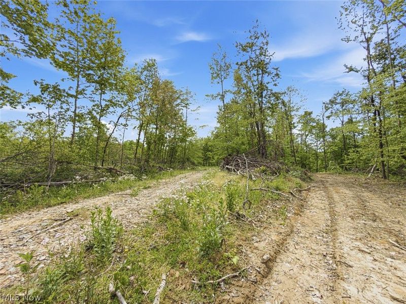 69 acres Newlon Road, Malta, OH 43758 Photo 8