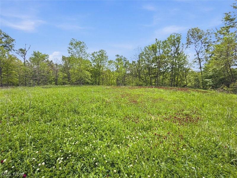 69 acres Newlon Road, Malta, OH 43758 Photo 9