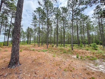 0 Neely Wingard Road , Unit Lot 2, Gilbert, SC 29054