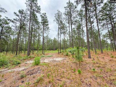 0 Neely Wingard Road , Unit Lot 3, Gilbert, SC 29054