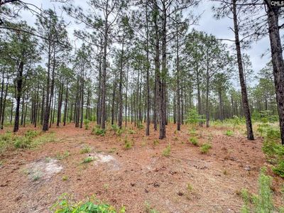 0 Neely Wingard Road, Unit Lot 6, Gilbert, SC 29054