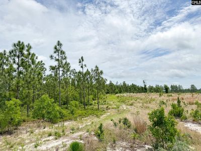 0 Neely Wingard Road, Unit Lot 8, Gilbert, SC 29054