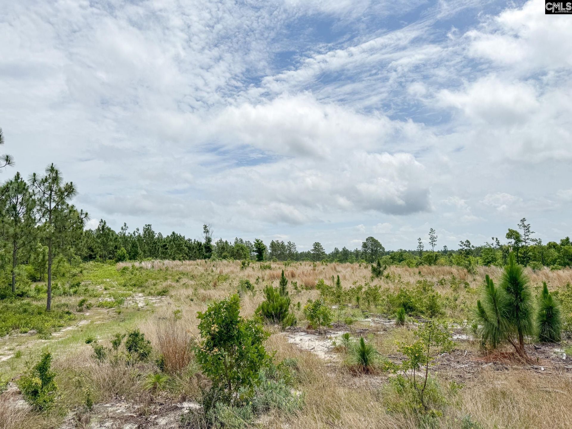 0 Neely Wingard Road Photo 4