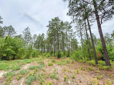 0 Neely Wingard Road, Unit Lot 9, Gilbert, SC 29054