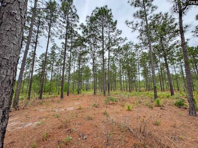 0 Neely Wingard Road, Unit Lot 10, Gilbert, SC 29054