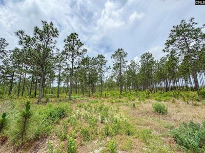 0 Neely Wingard Road , Unit Lot 11, Gilbert, SC 29054
