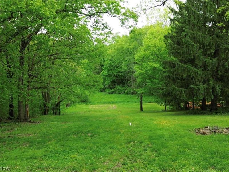 183 Meadow Road, Wintersville, OH 43953 Photo 4