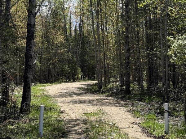 25 Acres M-28, Newberry, MI 49868