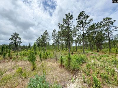 0 Neely Wingard Road , Unit Lot 12, Gilbert, SC 29054