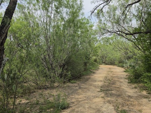 24373 W SH 97, Fowlerton, TX 78021