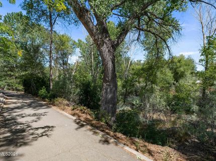 2855 Idlewild Drive, Unit APT 216, Reno, NV 89509 Photo