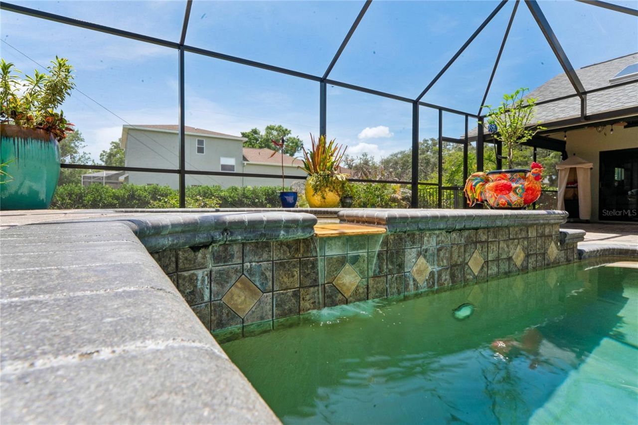 1087 Riverside Ridge, Tarpon Springs, FL 34688 Photo
