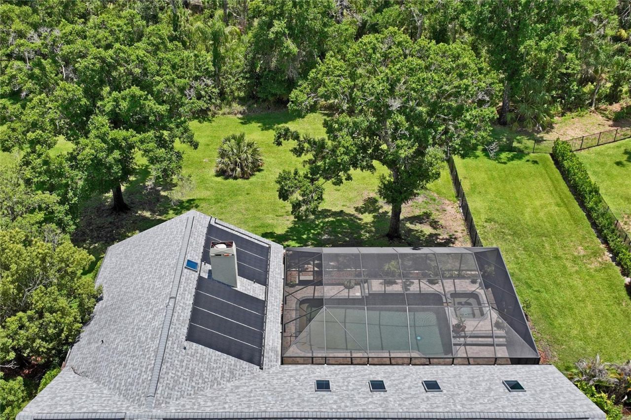 1087 Riverside Ridge, Tarpon Springs, FL 34688 Photo