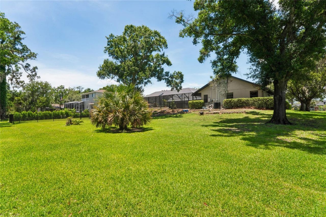 1087 Riverside Ridge, Tarpon Springs, FL 34688 Photo