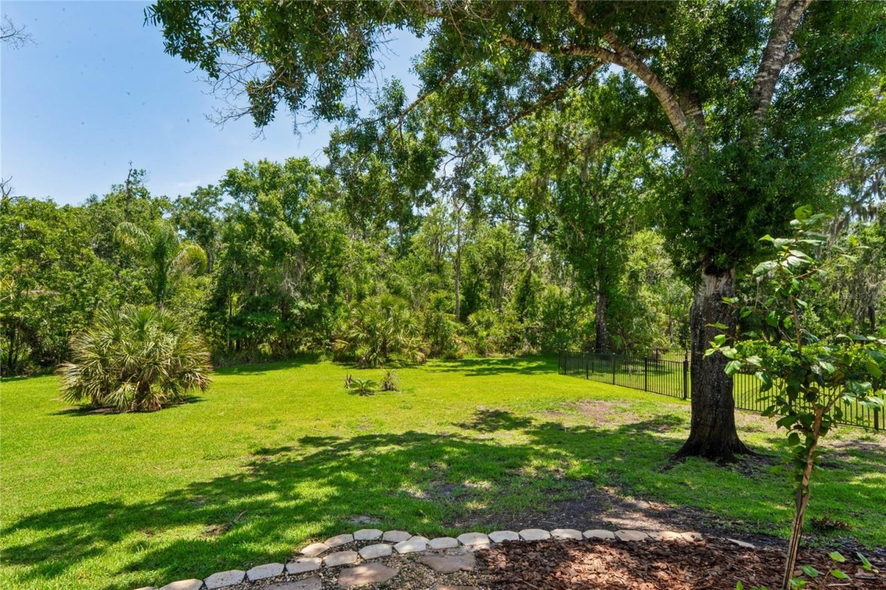 1087 Riverside Ridge, Tarpon Springs, FL 34688 Photo