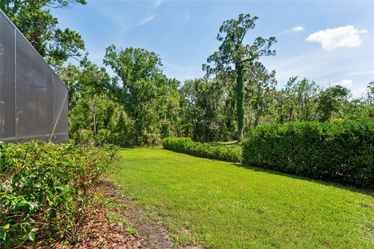 1087 Riverside Ridge, Tarpon Springs, FL 34688 Photo