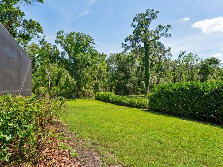 Property Image 79