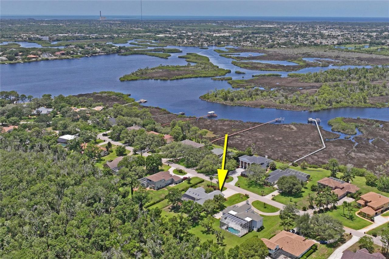 1087 Riverside Ridge, Tarpon Springs, FL 34688 Photo