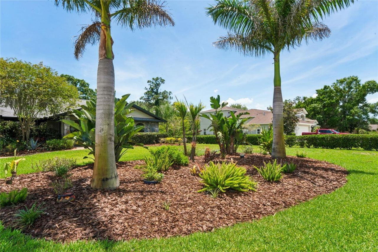 1087 Riverside Ridge, Tarpon Springs, FL 34688 Photo