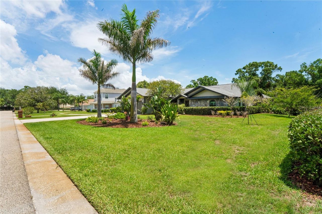 1087 Riverside Ridge, Tarpon Springs, FL 34688 Photo