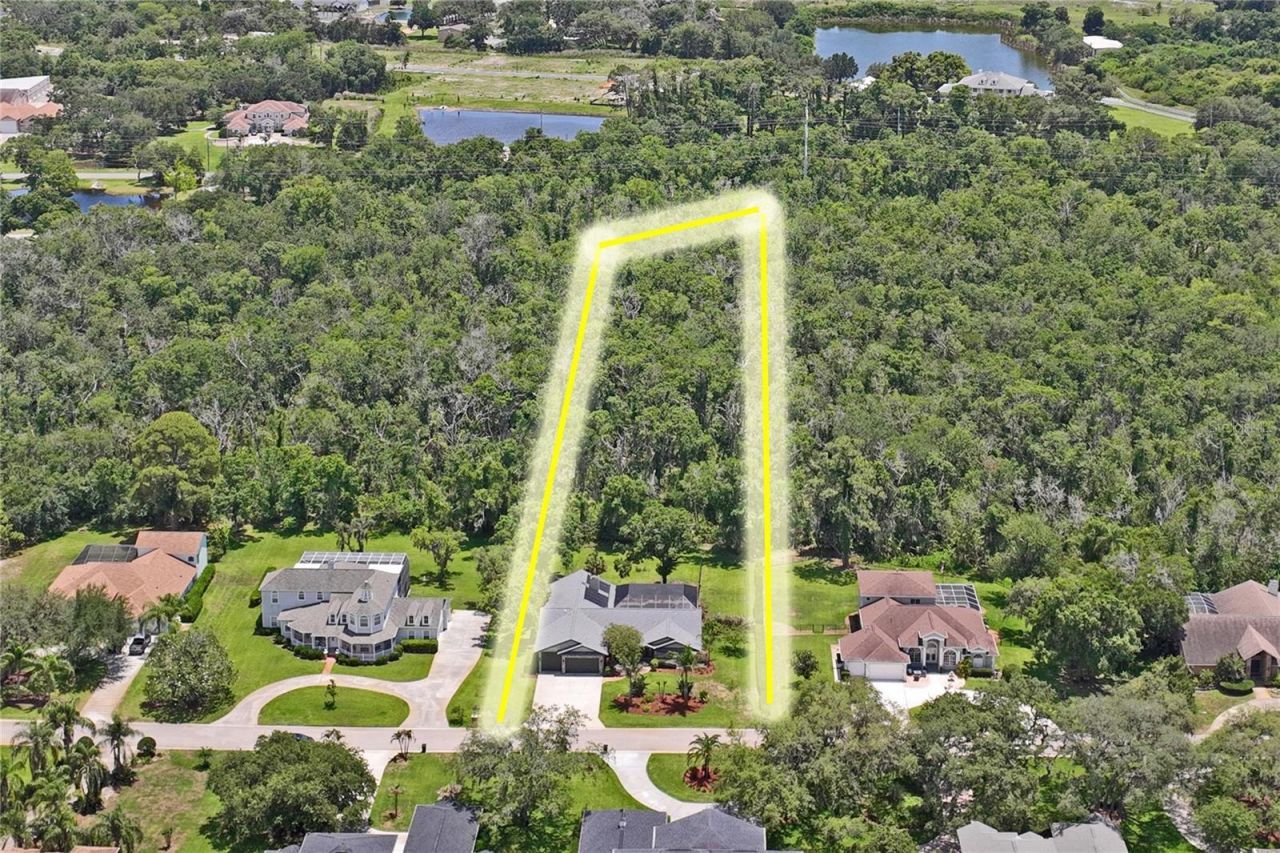 1087 Riverside Ridge, Tarpon Springs, FL 34688 Photo