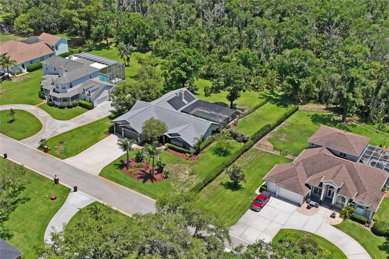 1087 Riverside Ridge, Tarpon Springs, FL 34688 Photo