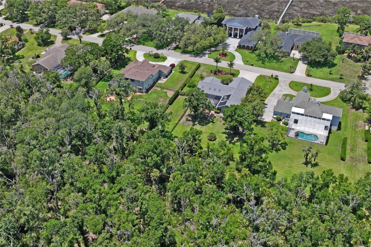 1087 Riverside Ridge, Tarpon Springs, FL 34688 Photo