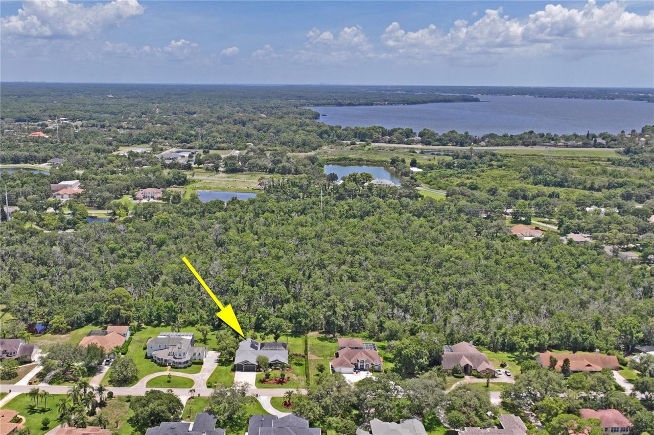 1087 Riverside Ridge, Tarpon Springs, FL 34688 Photo