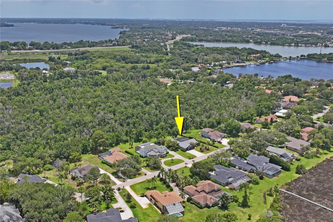 1087 Riverside Ridge, Tarpon Springs, FL 34688 Photo