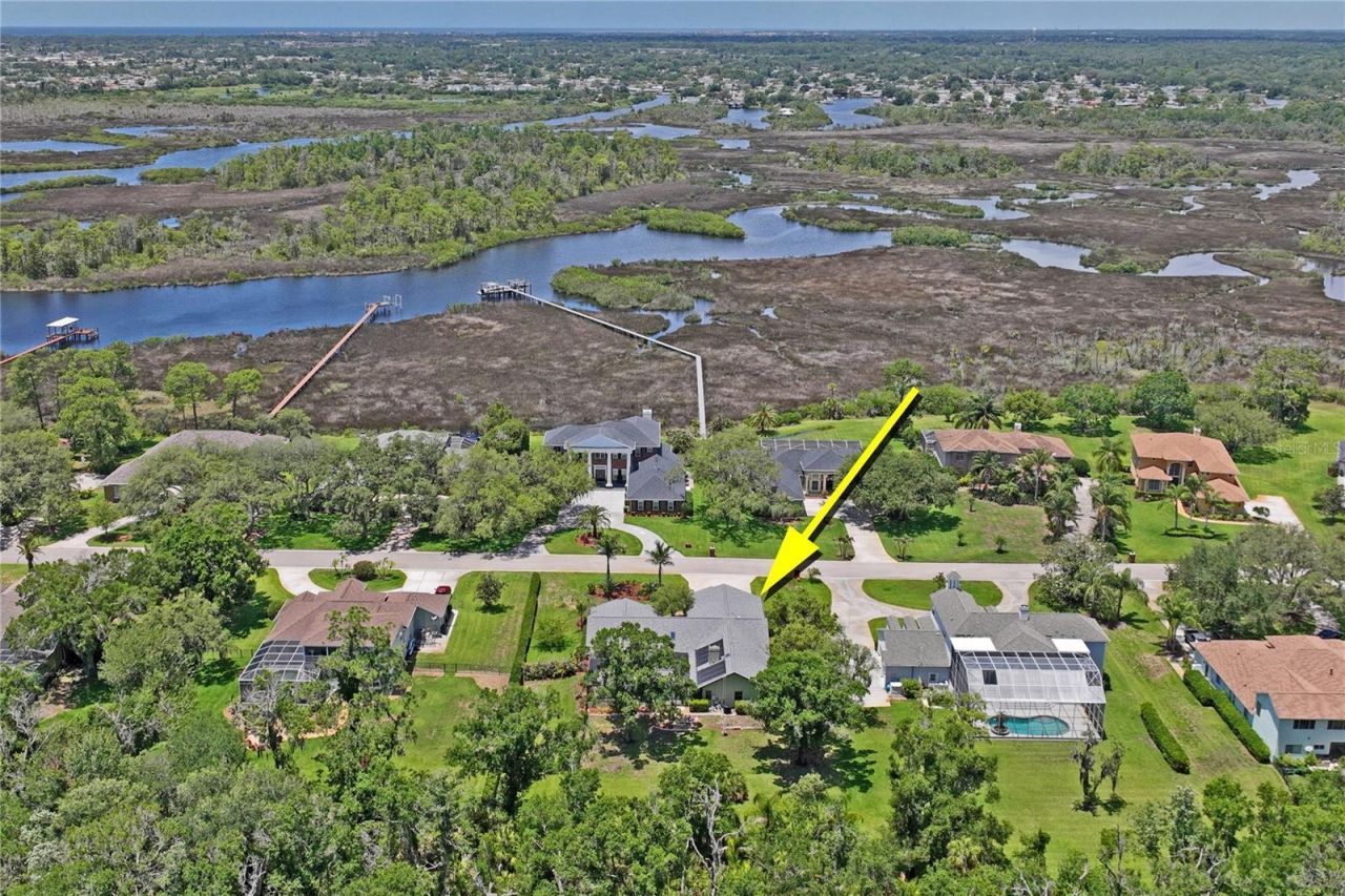 1087 Riverside Ridge, Tarpon Springs, FL 34688 Photo