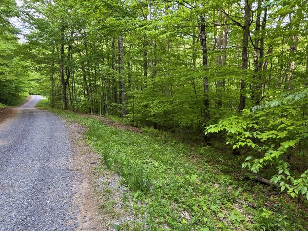 Lot 14 Roberts Ridge, Slatyfork, WV 26291