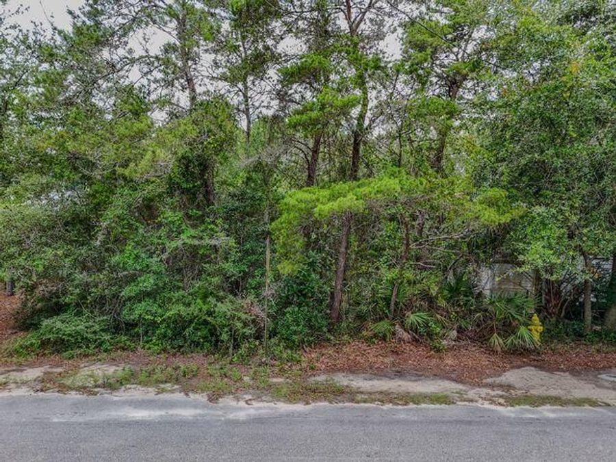 Property Image 18