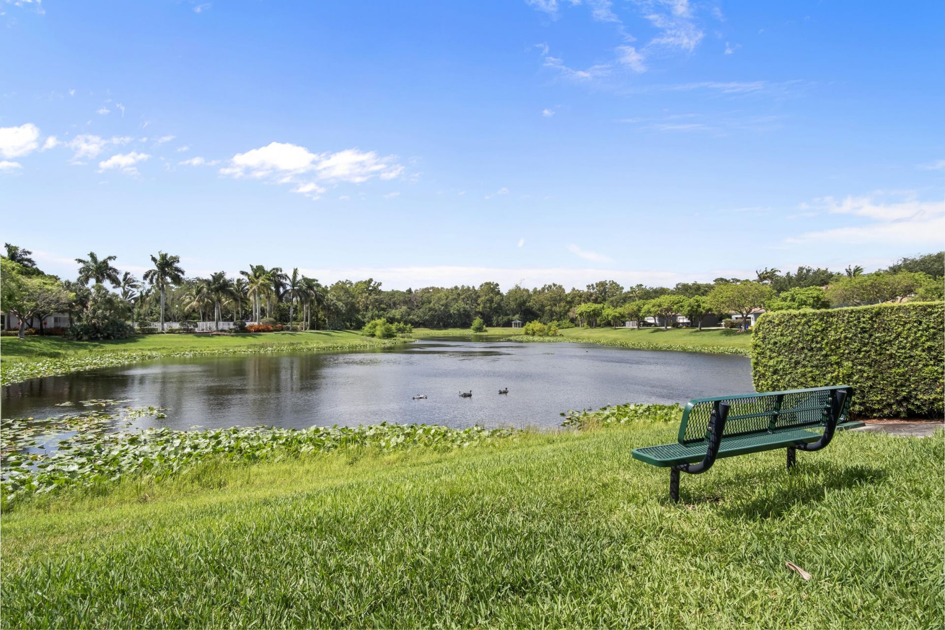 1616 Fenton Drive, Delray Beach, FL 33445 Photo
