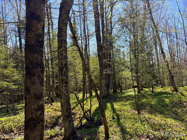 TBD Townline Road, West Branch Twp, MI 49855