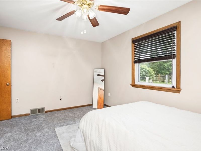 102 Young Drive , Lodi, OH 44254 Photo 14