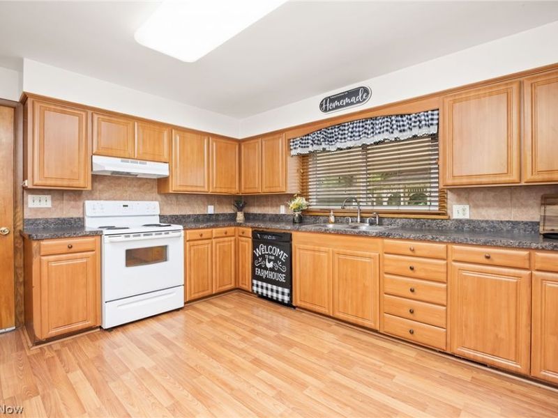 102 Young Drive , Lodi, OH 44254 Photo 3