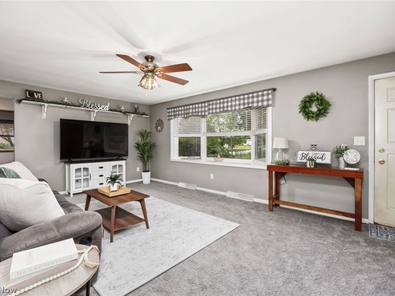 102 Young Drive , Lodi, OH 44254 Photo 8
