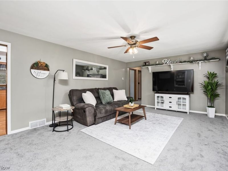 102 Young Drive , Lodi, OH 44254 Photo 9